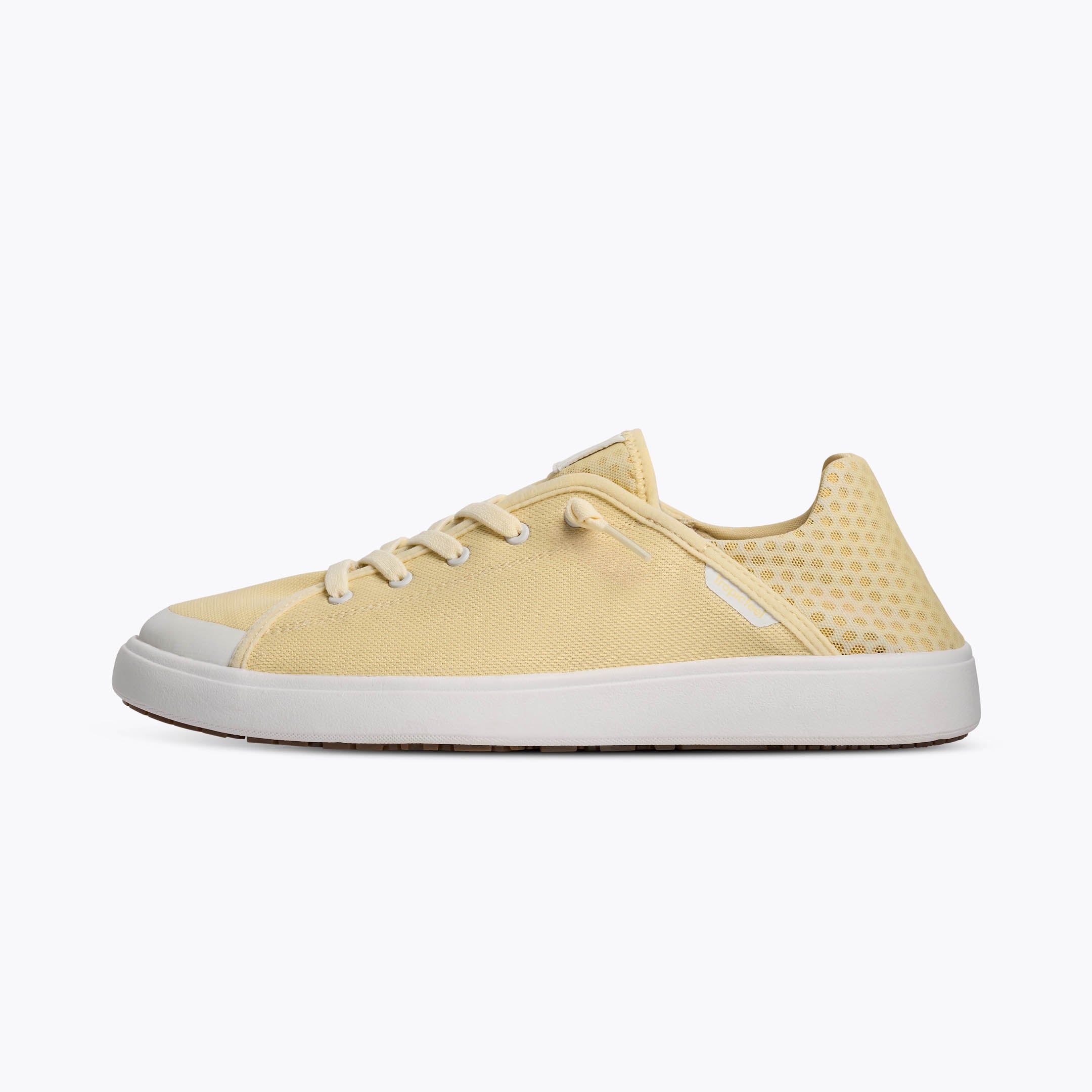 Sunset Flan – Tropicfeelkw.com