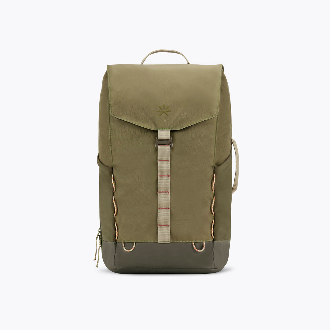 Nook Olive Green