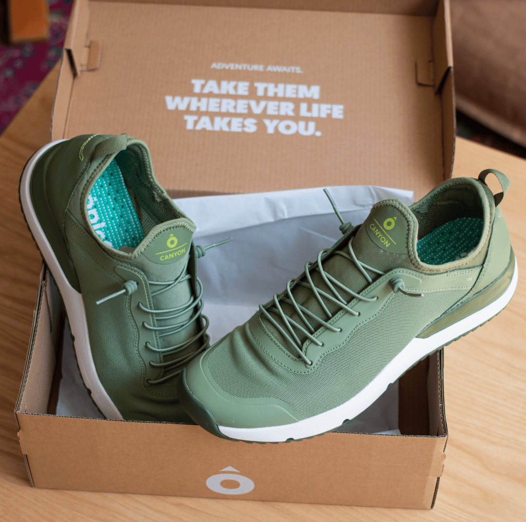 Canyon Sage Green