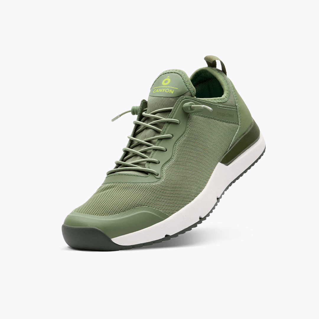 Canyon Sage Green