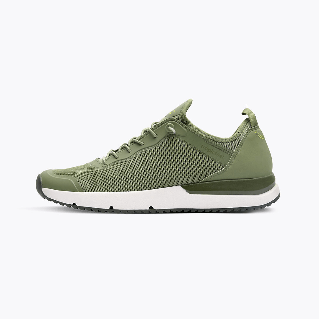 Canyon Sage Green
