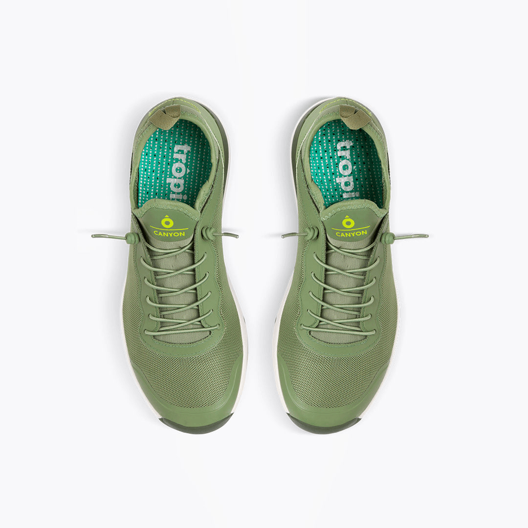 Canyon Sage Green